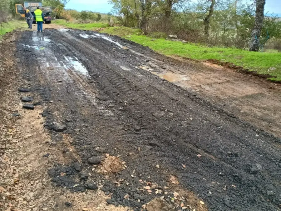 TRABALHOS DE LIMPEZA E ARRANJO DE CAMINHOS RURAIS – Figueira e Valverde