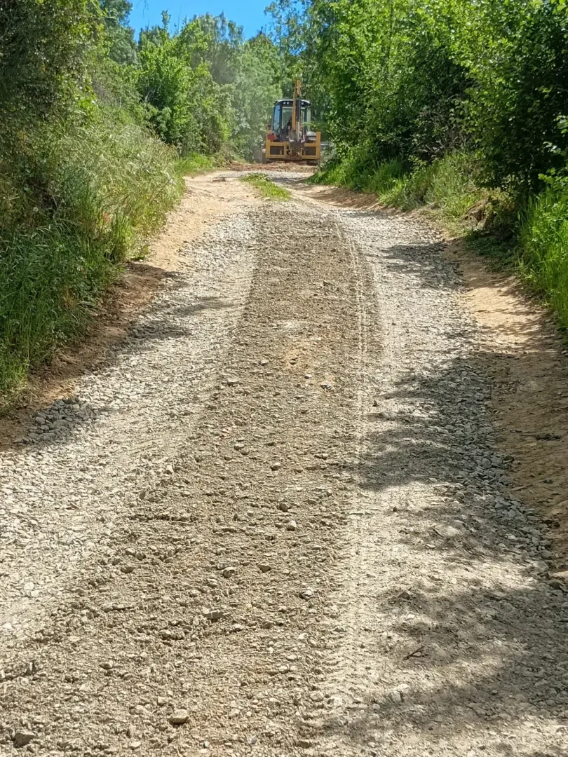 ARRANJO DE CAMINHO EM FIGUEIRA