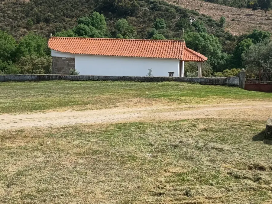 LIMPEZA DO PARQUE DA NOSSA SENHORA DA ENCARNAÇÃO – VALE DE PORCO