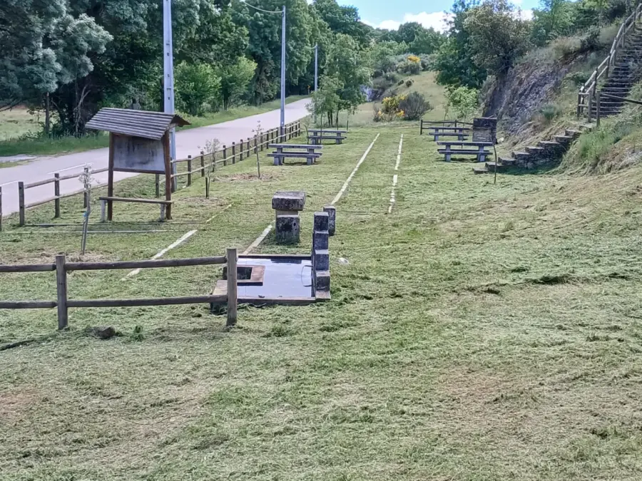Colocação de árvores no parque de merendas em Vale de Porco